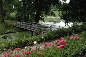 Uma ponte de madeira sobre um lago com vegetação exuberante e flores cor-de-rosa.