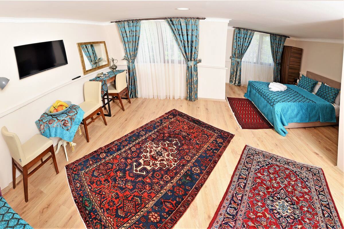 A room with a bed, a desk with a chair, a television, and a large rug.