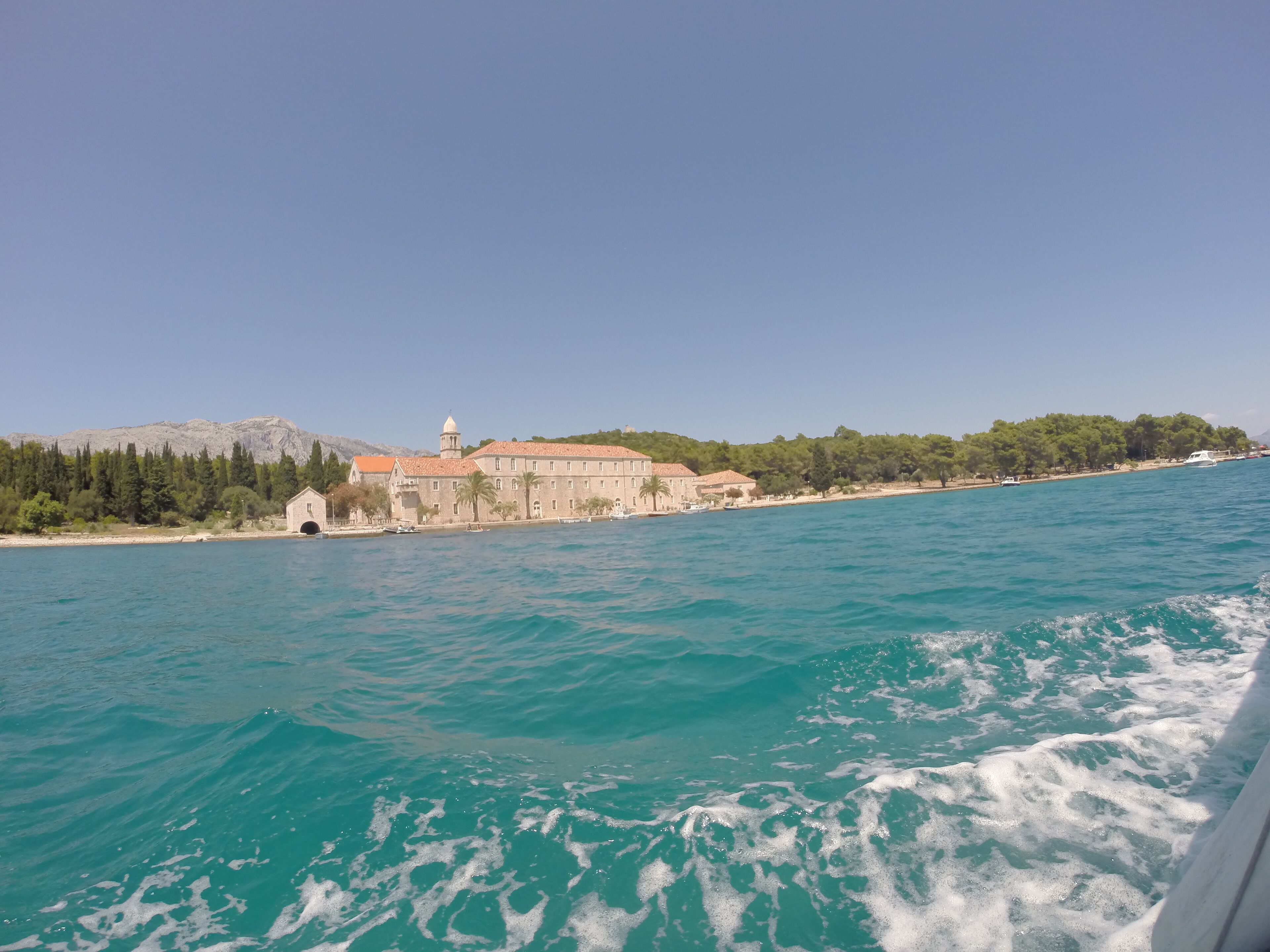 Foto - Dragan's Den Hostel