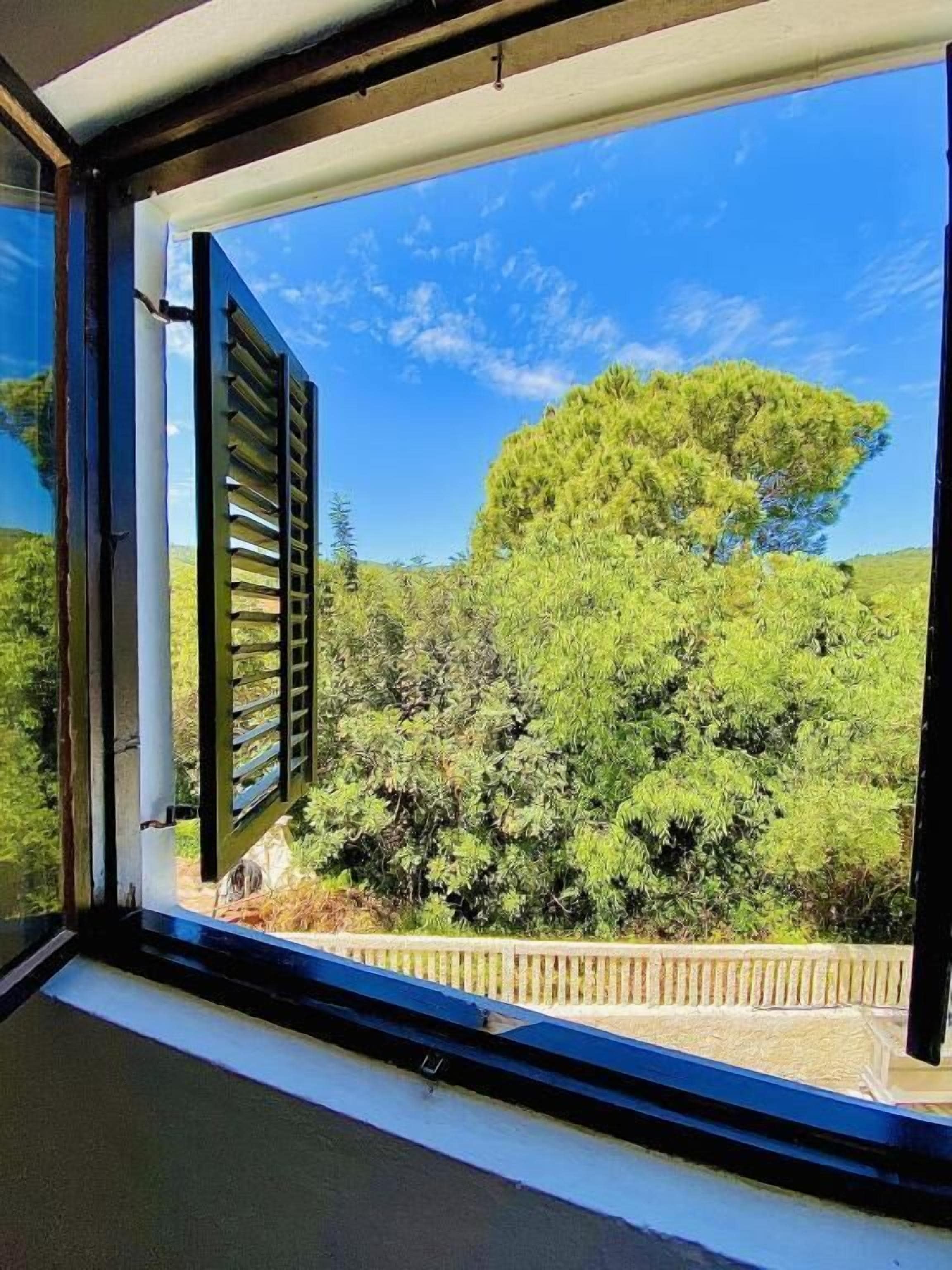 Una ventana con vista a un árbol y un cielo despejado.