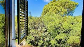 Una ventana con vista a un árbol y un cielo despejado.