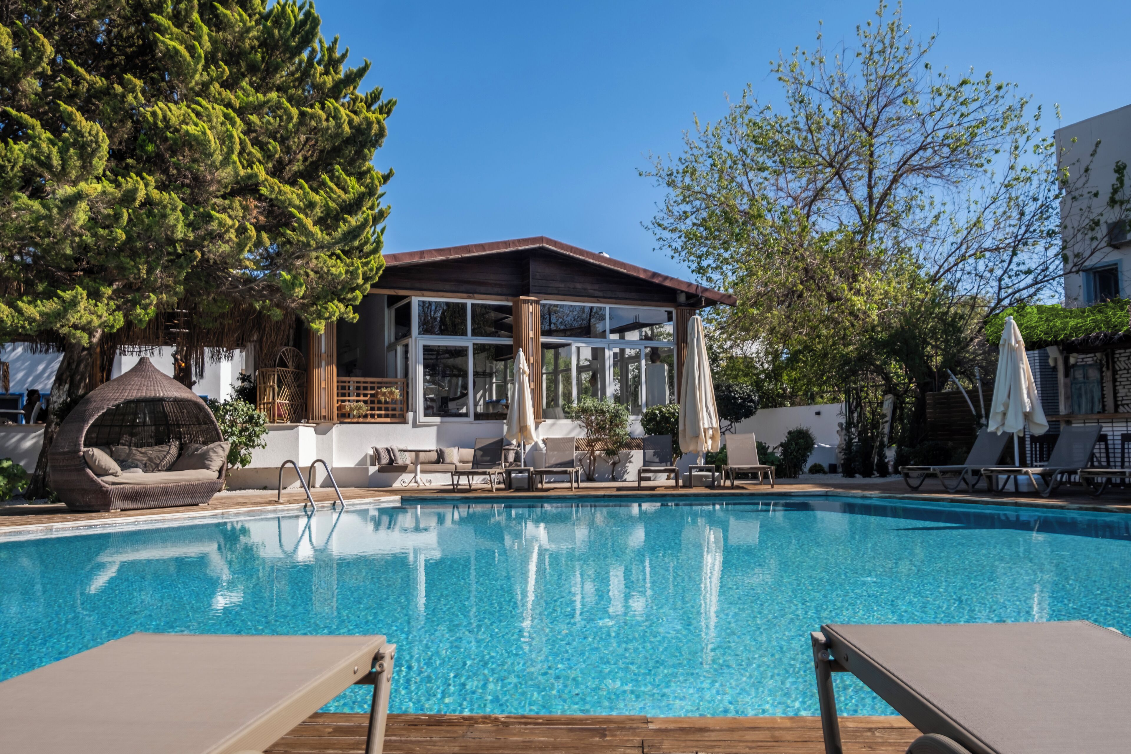 A swimming pool with lounge chairs and umbrellas, surrounded by trees and a building with large windows.