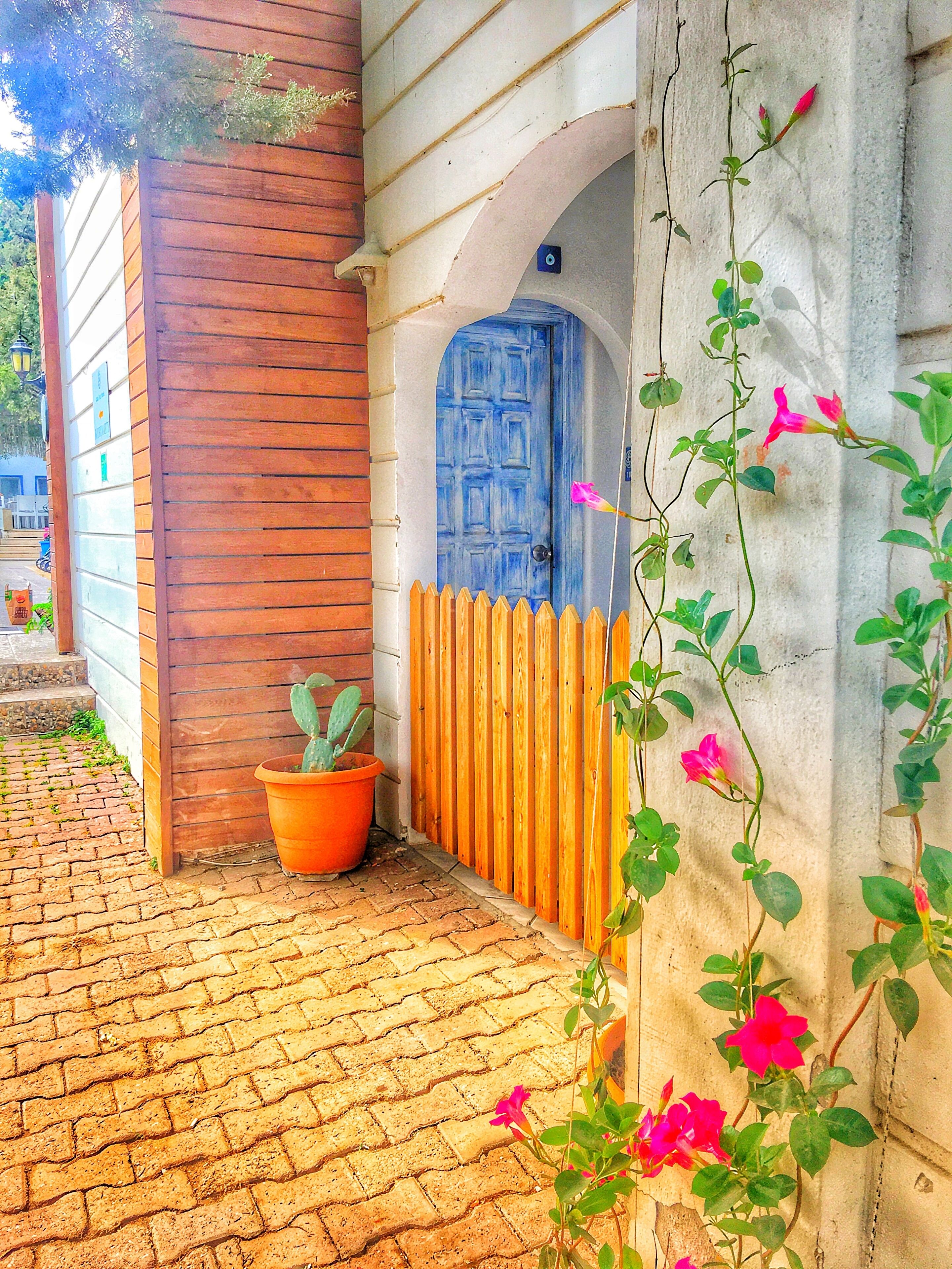 A brick-paved entrance with a wooden fence, a blue door, and a potted cactus.