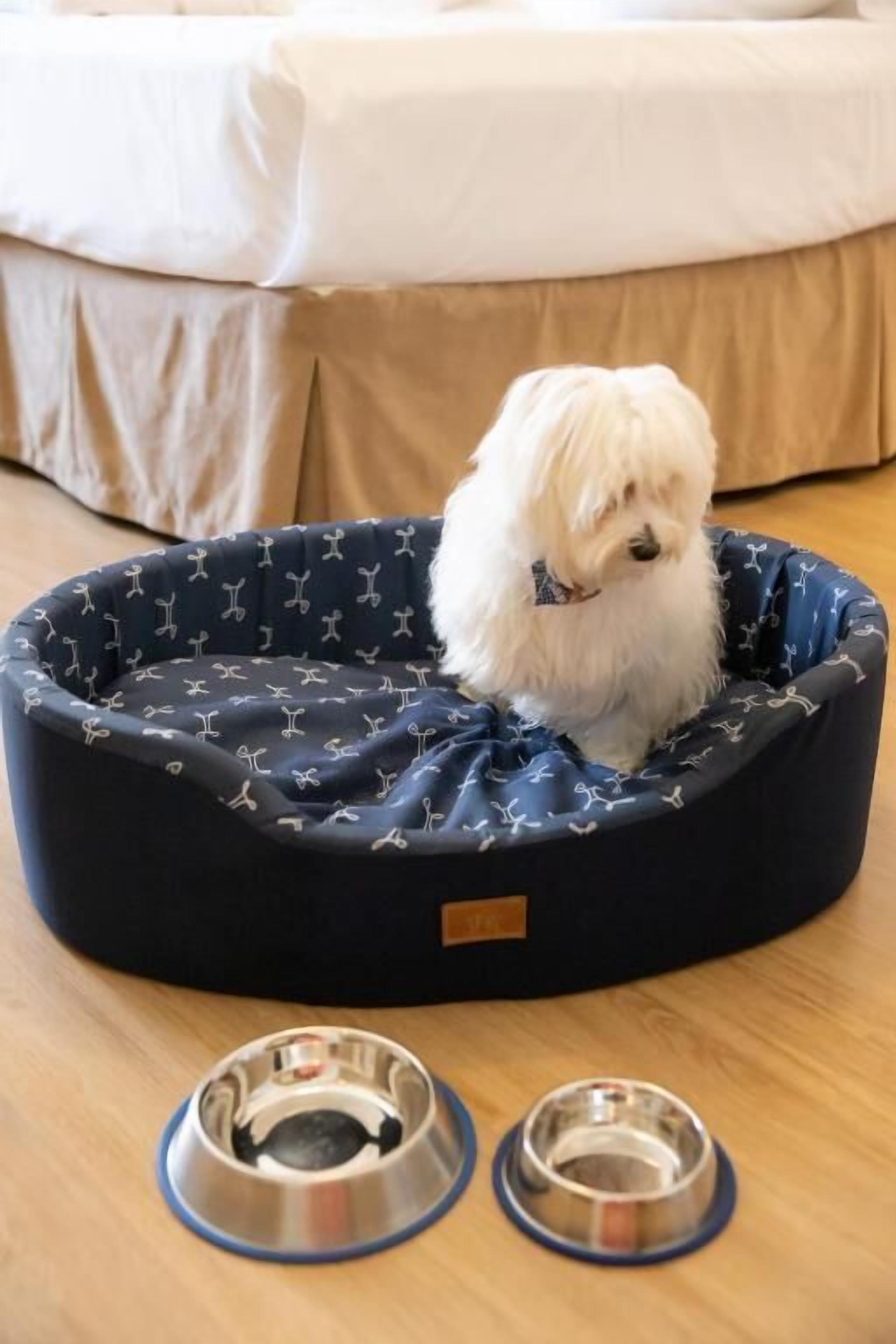 pet-friendly amenities