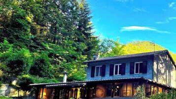 A two-story house with a covered porch, surrounded by dense forest.