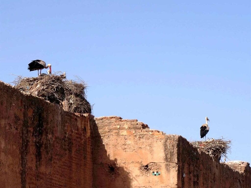 Foto - Riad Turquoise