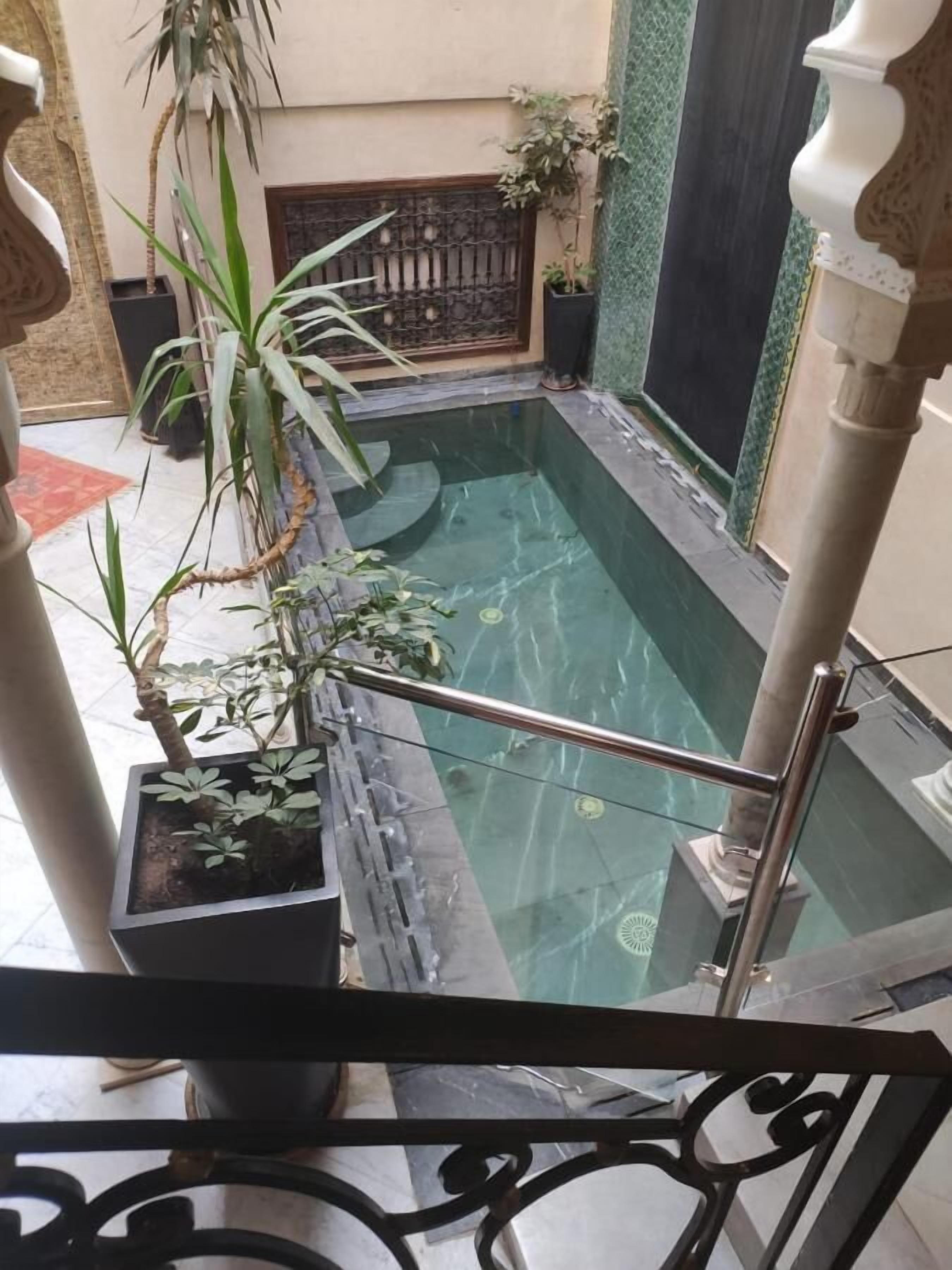 A pool area with a glass railing, potted plants, and a decorative fence.