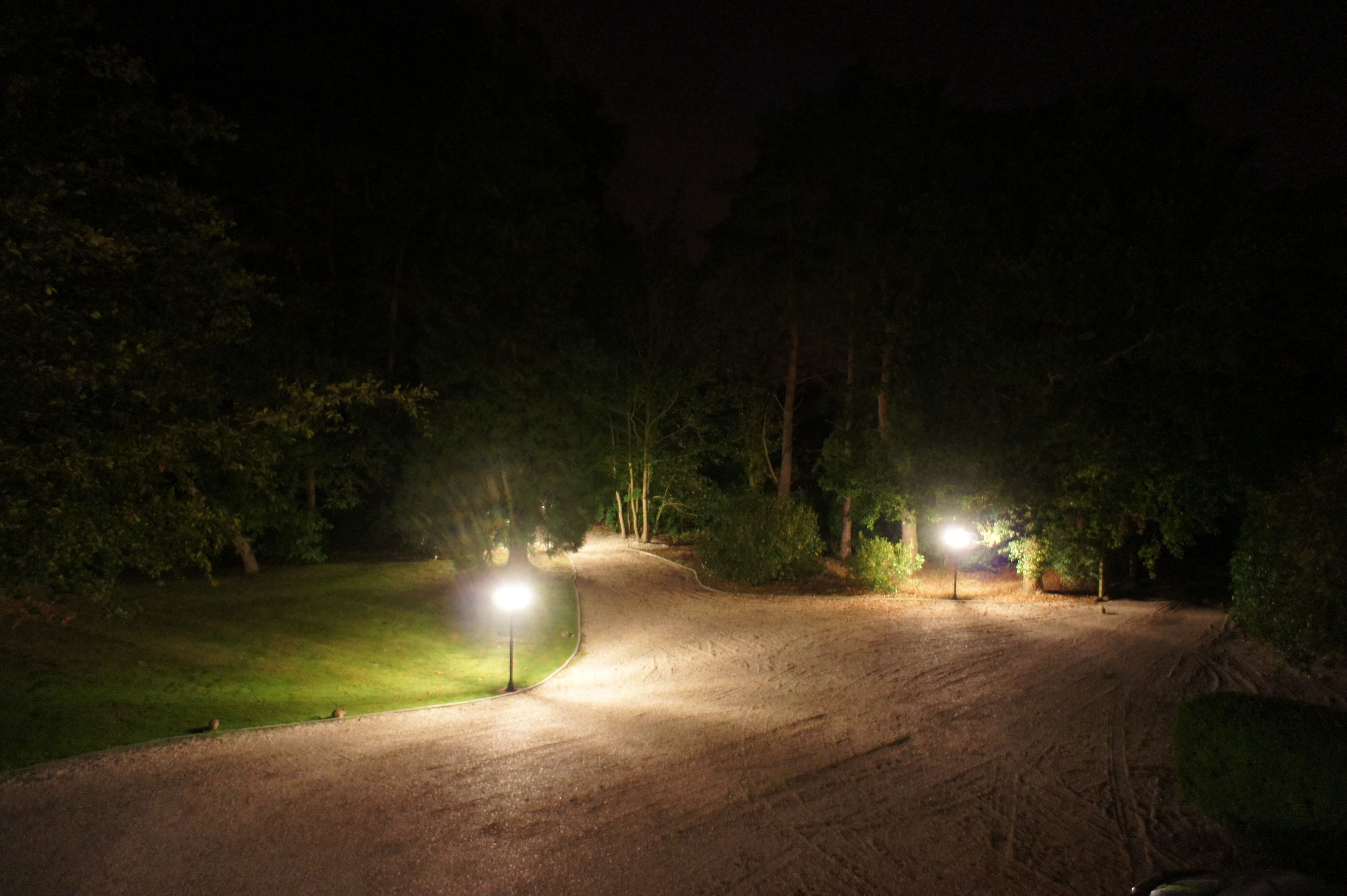 deluxe room, 1 king bed | garden view