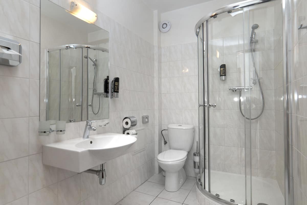 shower, free toiletries, hair dryer, towels