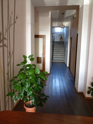 A hallway with a wooden floor, a potted plant, and a staircase leading to an upper level.