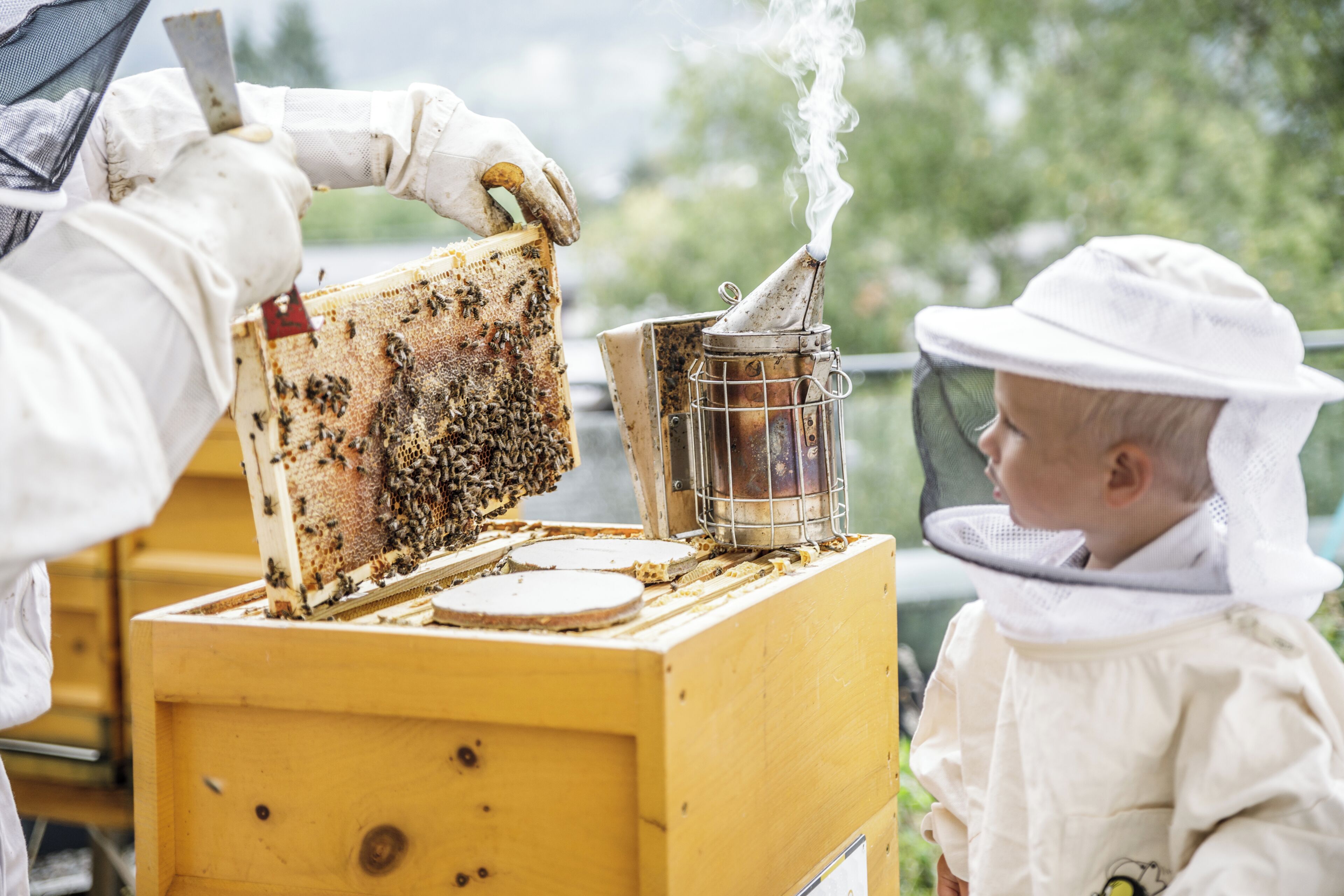 A beekeeping demonstration with a wooden hive and smoke.