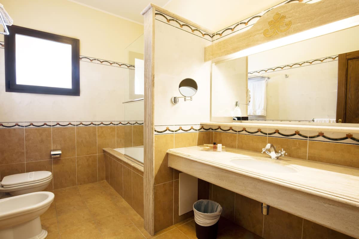 free toiletries, hair dryer, bidet, towels