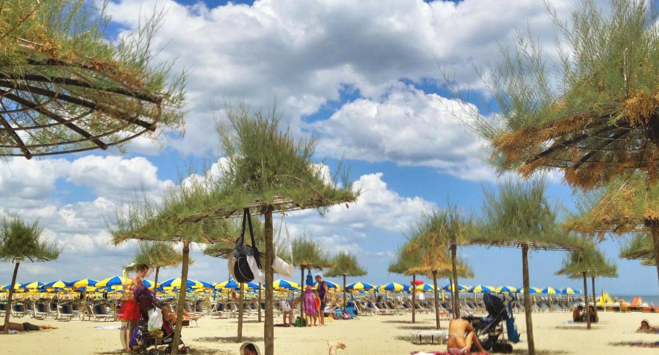 A beach with umbrellas and beach chairs, trees, and a clear sky.