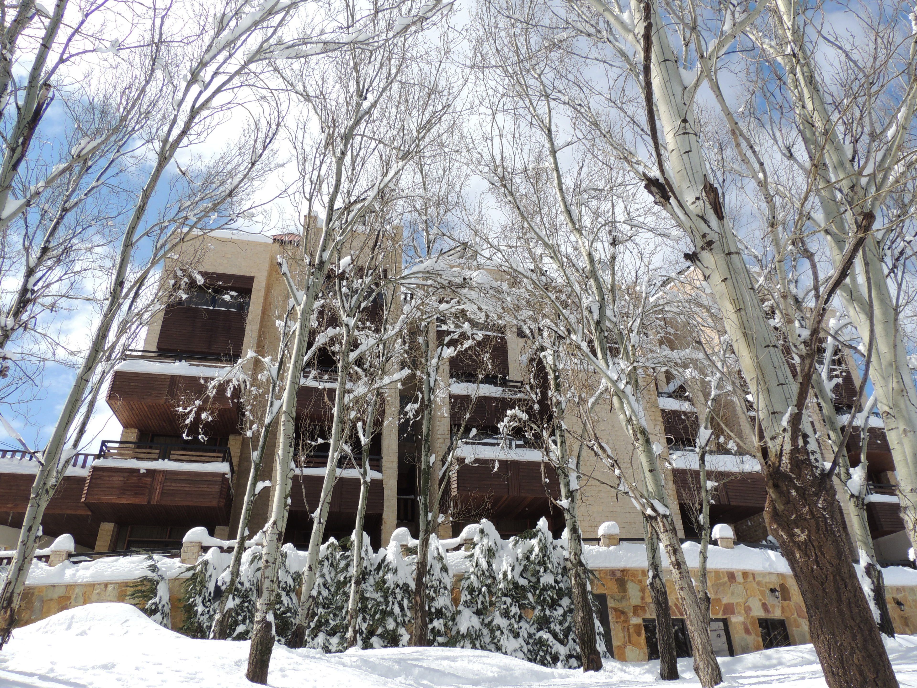 A multi-story building with snow-covered trees and a stone facade.