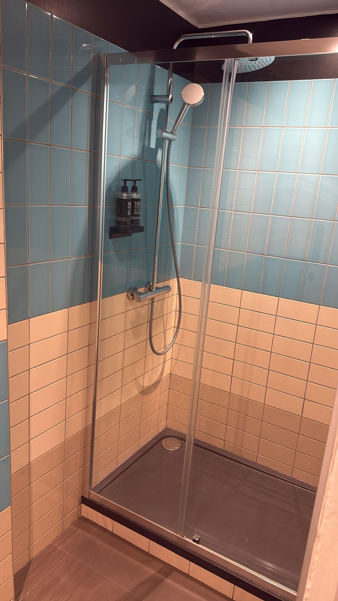 Ducha con mampara de vidrio, cabezal de ducha y grifo de mano.