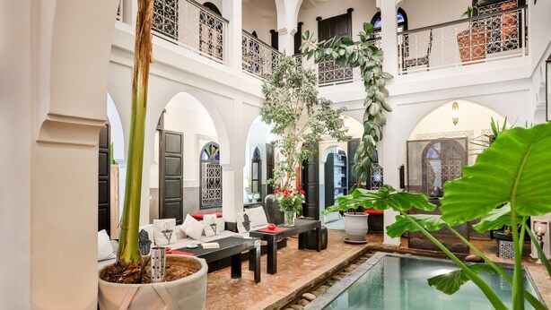 Uma área de piscina interior luxuosa com espaço de estar, plantas em vasos e vista clara da piscina.