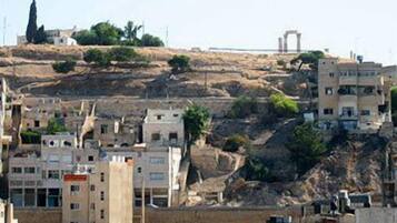 Una zona residenziale su una collina con edifici, alcuni dotati di parabole, e una moschea ben visibile.