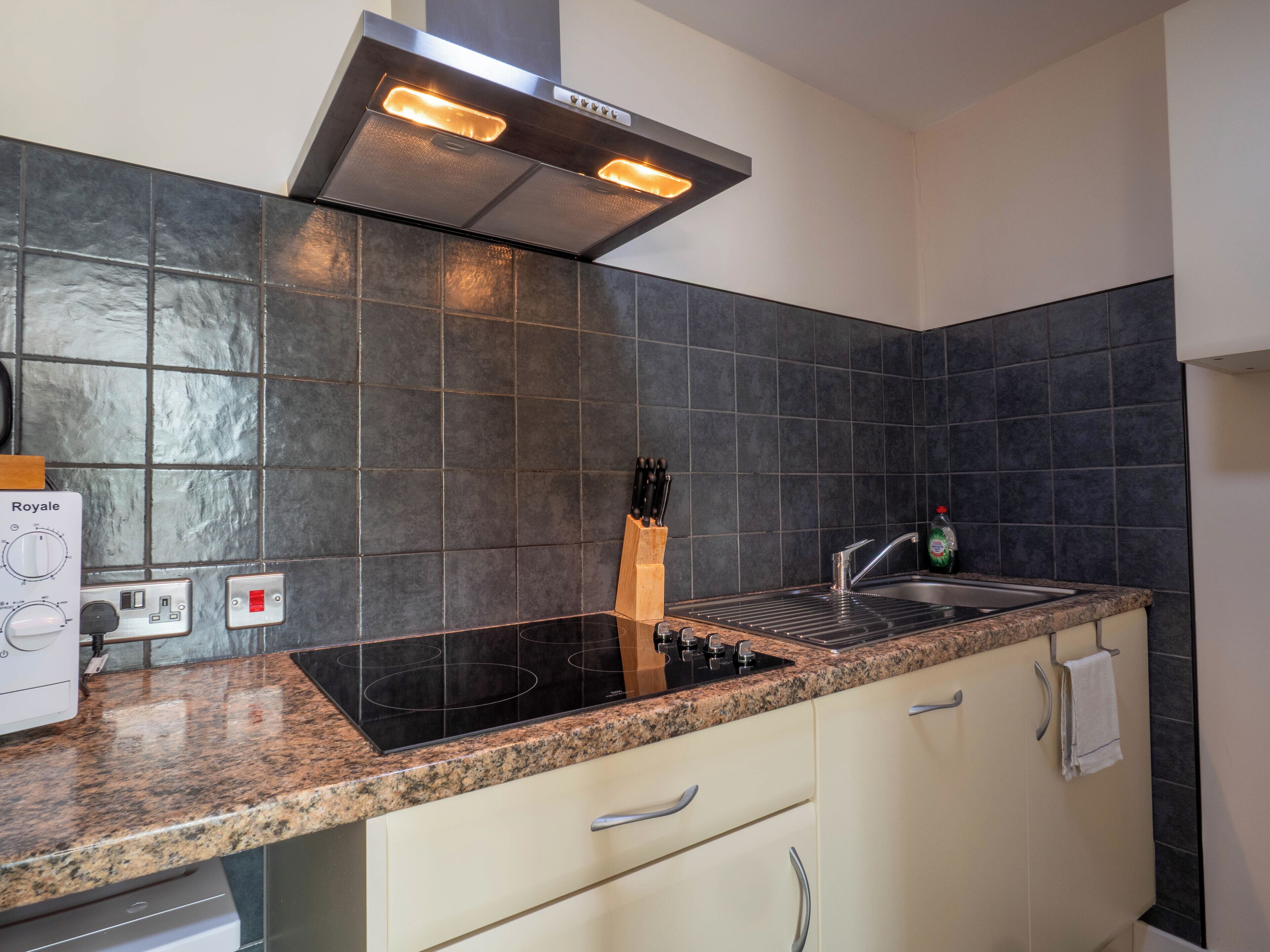 A modern kitchen with a black induction cooktop, a stainless steel range hood, and a granite countertop.