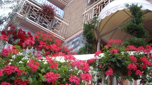 Exterior - Hotel Firenze (Brenzone sul Garda)
