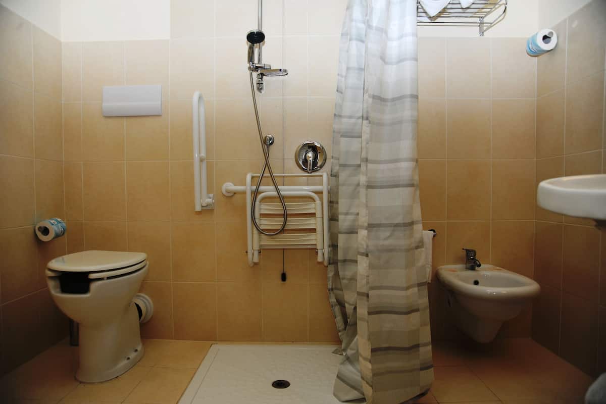 shower, free toiletries, hair dryer, bidet