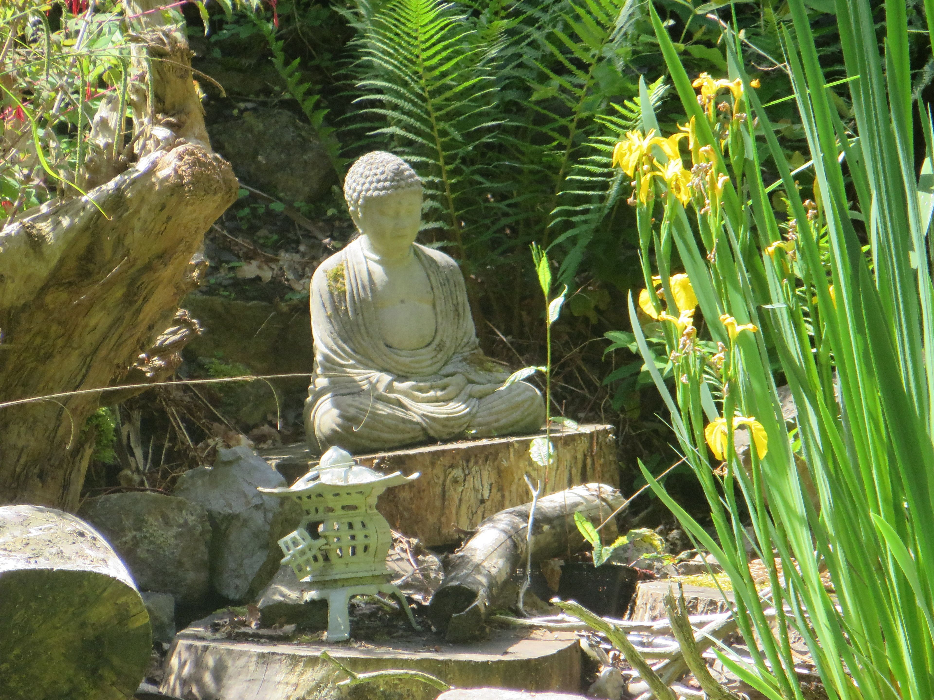En Buddha-statue i en have med sten, bregner og gule blomster.