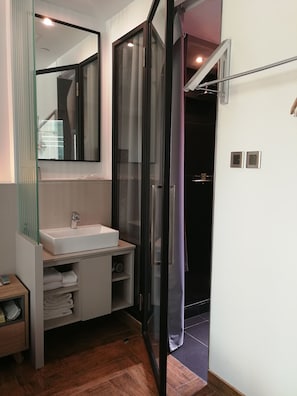A modern bathroom with a glass shower enclosure, a white sink, and a mirror above it.