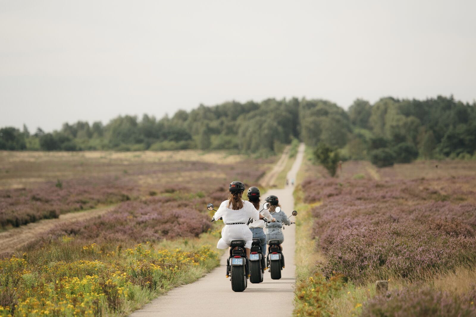 A pathway with motorcyclists riding in a line.