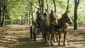 Een koets getrokken door twee paarden met drie passagiers op een laan.