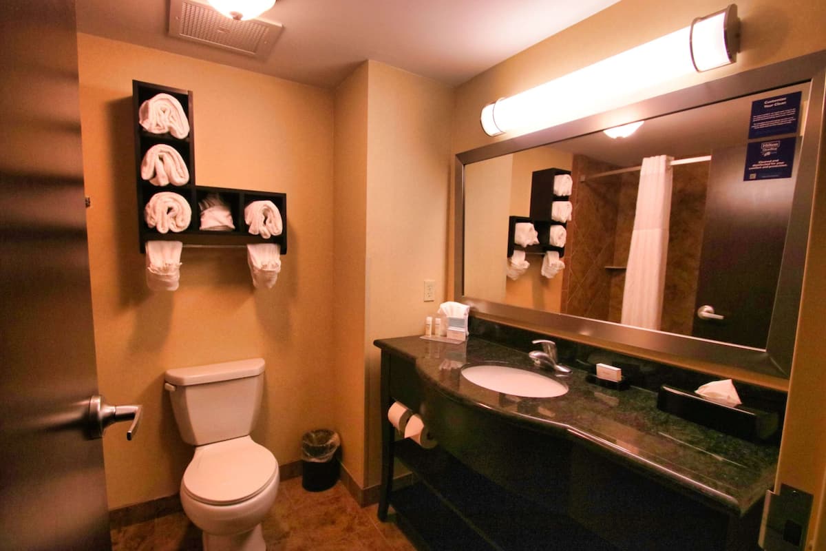 free toiletries, hair dryer, towels, soap