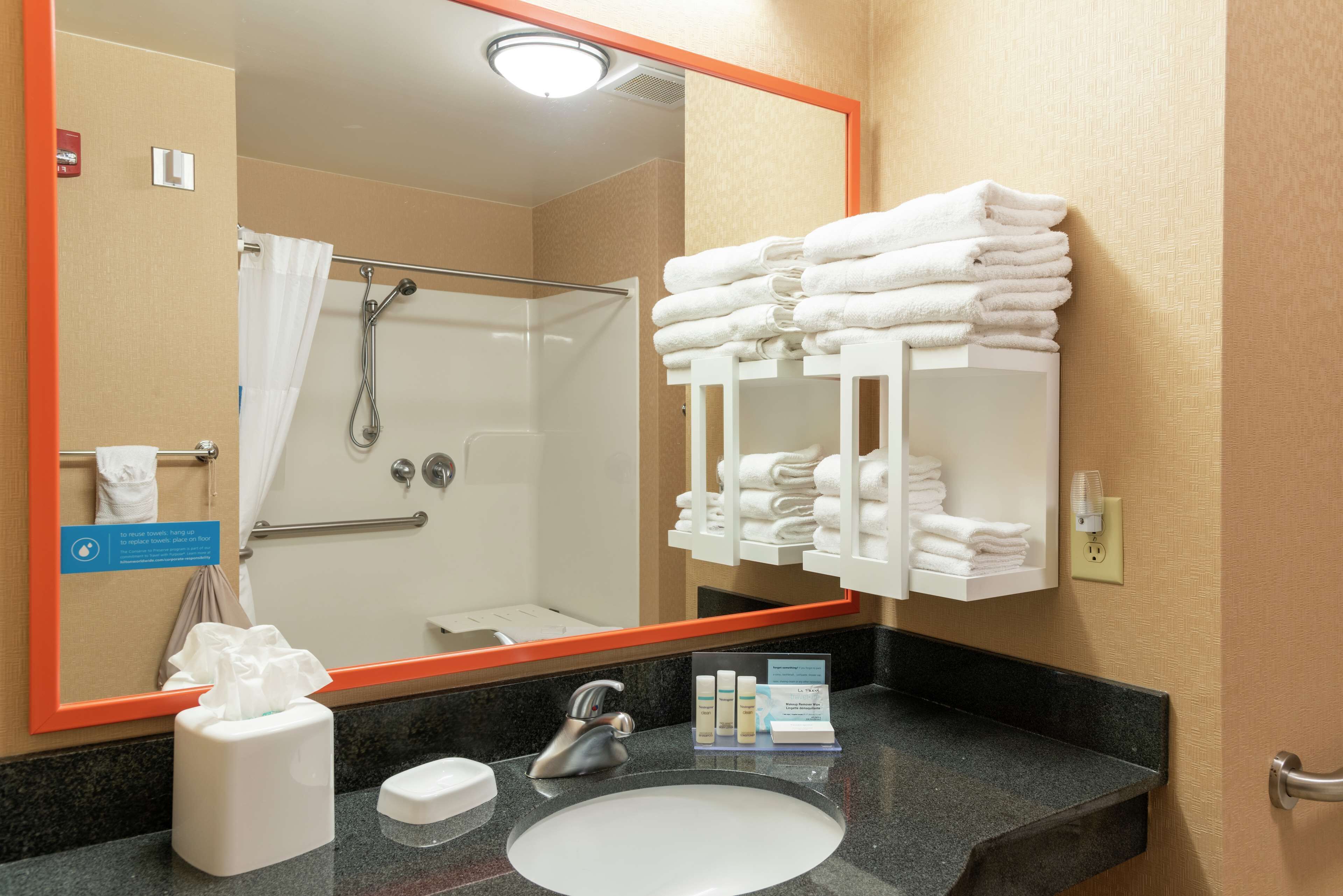 room, 1 king bed, accessible, non smoking | bathroom shower