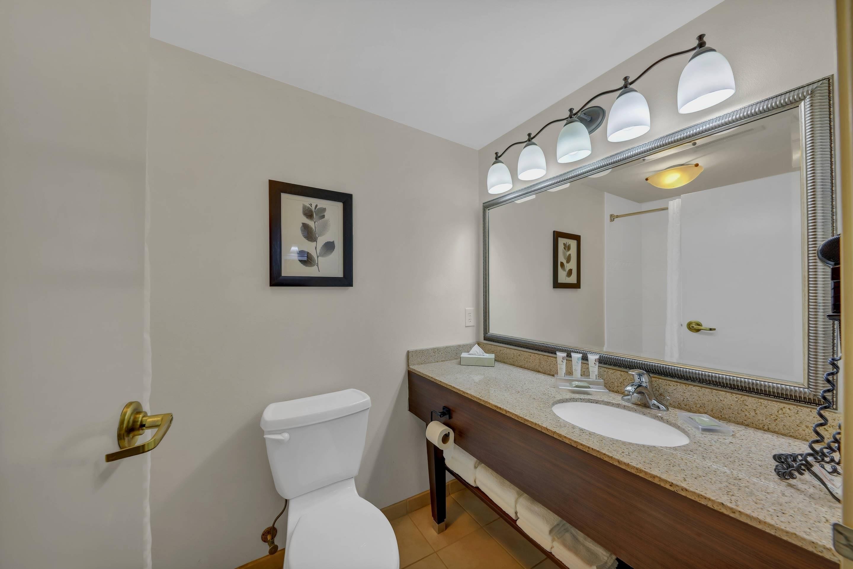 A bathroom with a toilet, sink, and mirror.
