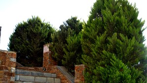 Unos escalones de piedra conducen a un muro de ladrillo, rodeado de vegetación.