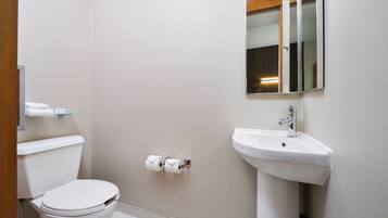A bathroom with a toilet, sink, and toilet paper.