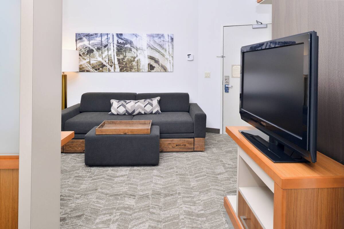 Suite, 1 kingsize-seng | Oppholdsområde | En 37-tommers LCD-TV med kabel-kanaler samt TV og Netflix