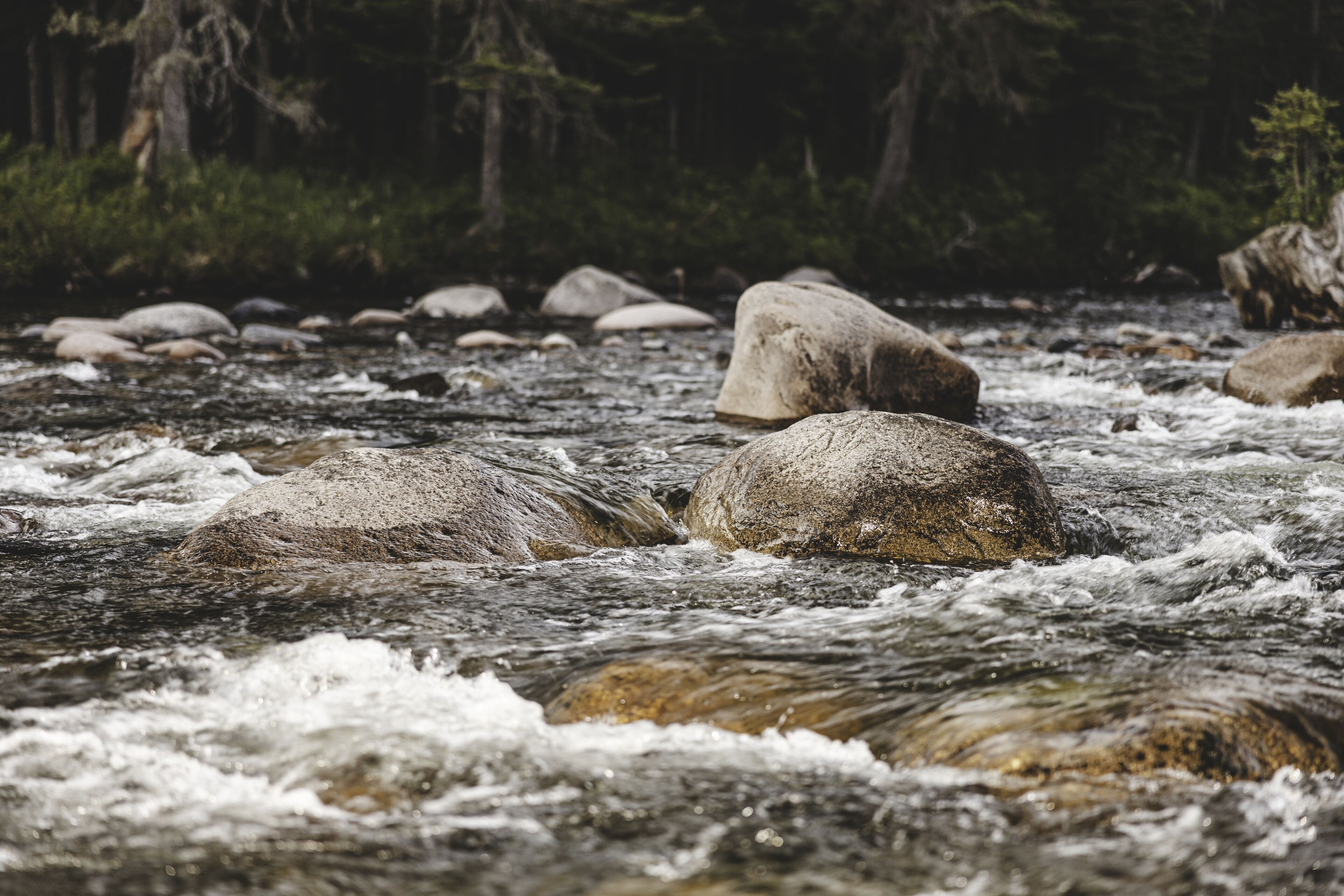 comfort chalet, 1 bedroom | lake view