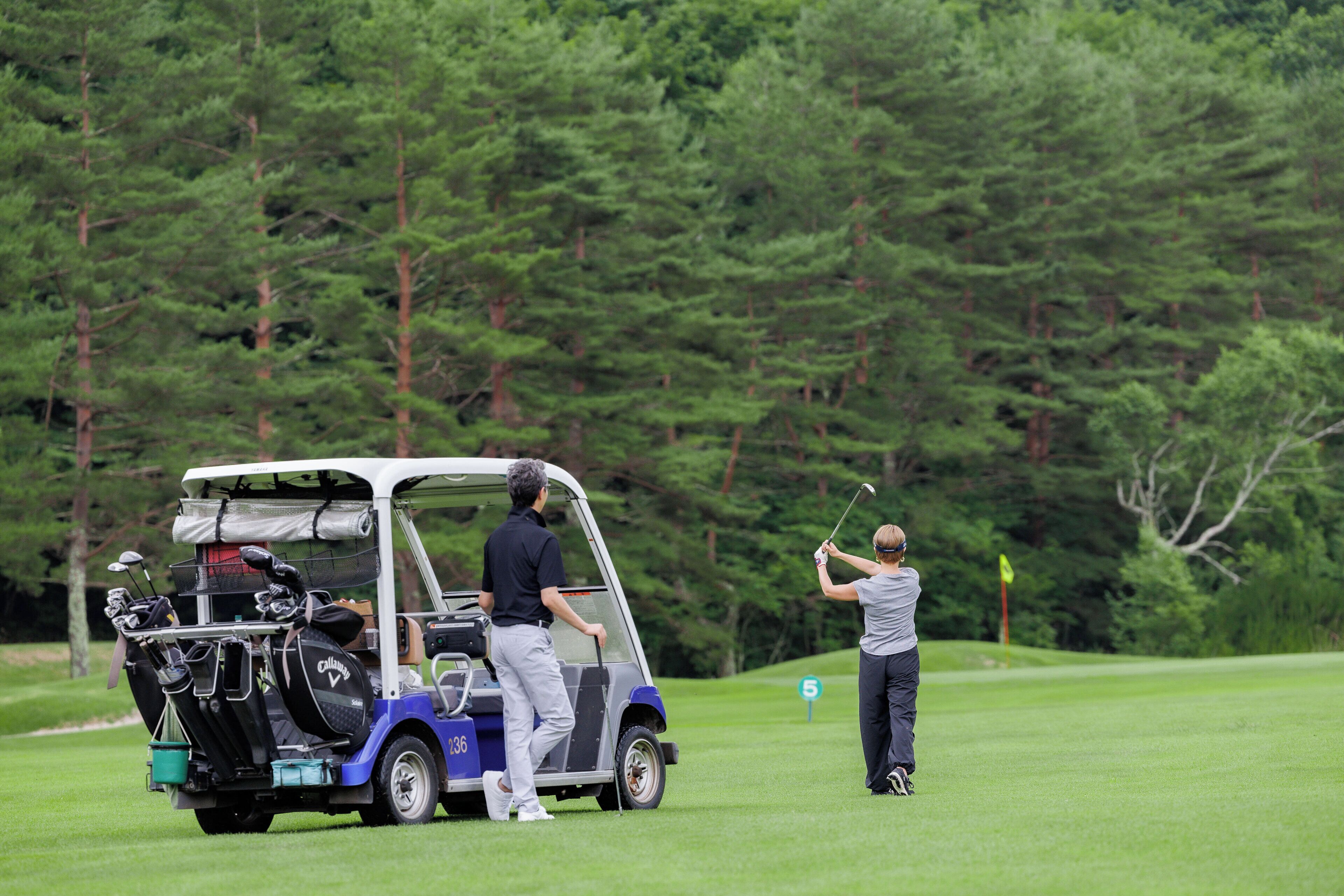 Un carrito de golf con bolsas de golf y un palo de golf en un campo de golf.