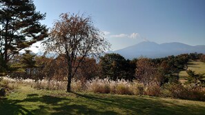 A grassy area with trees and a mountain in the background. - Tsumagoi Prince Hotel (Tsumagoi)