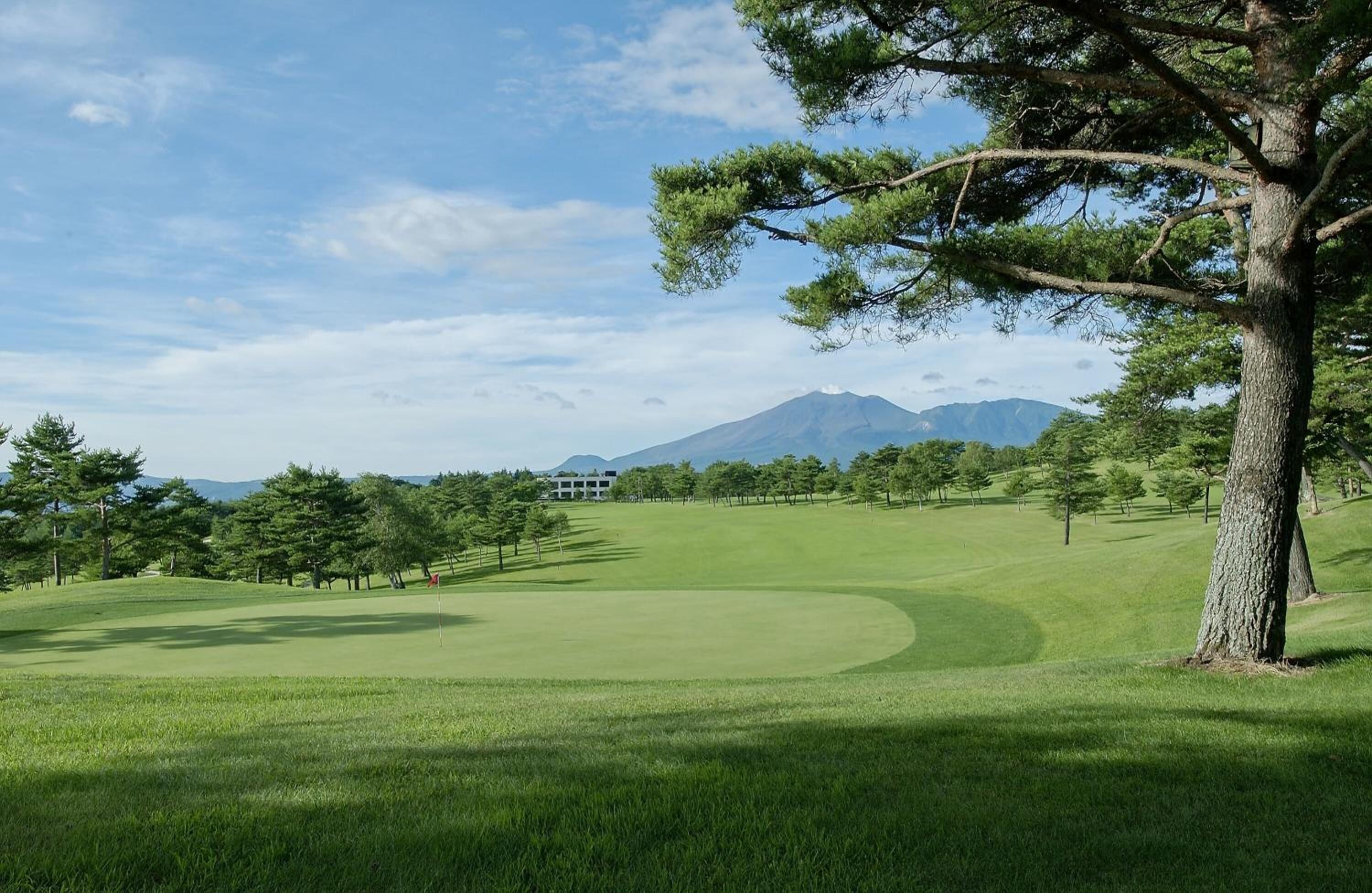 A golf course with a flagstick, trees, and a mountain in the background.