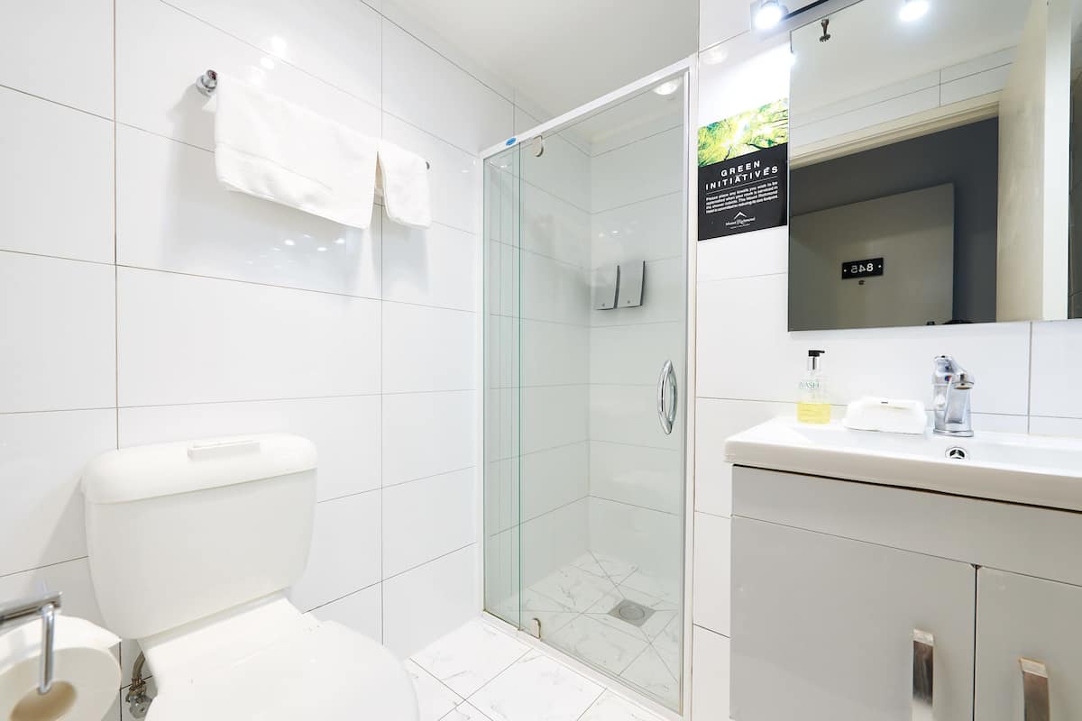 free toiletries, hair dryer, towels