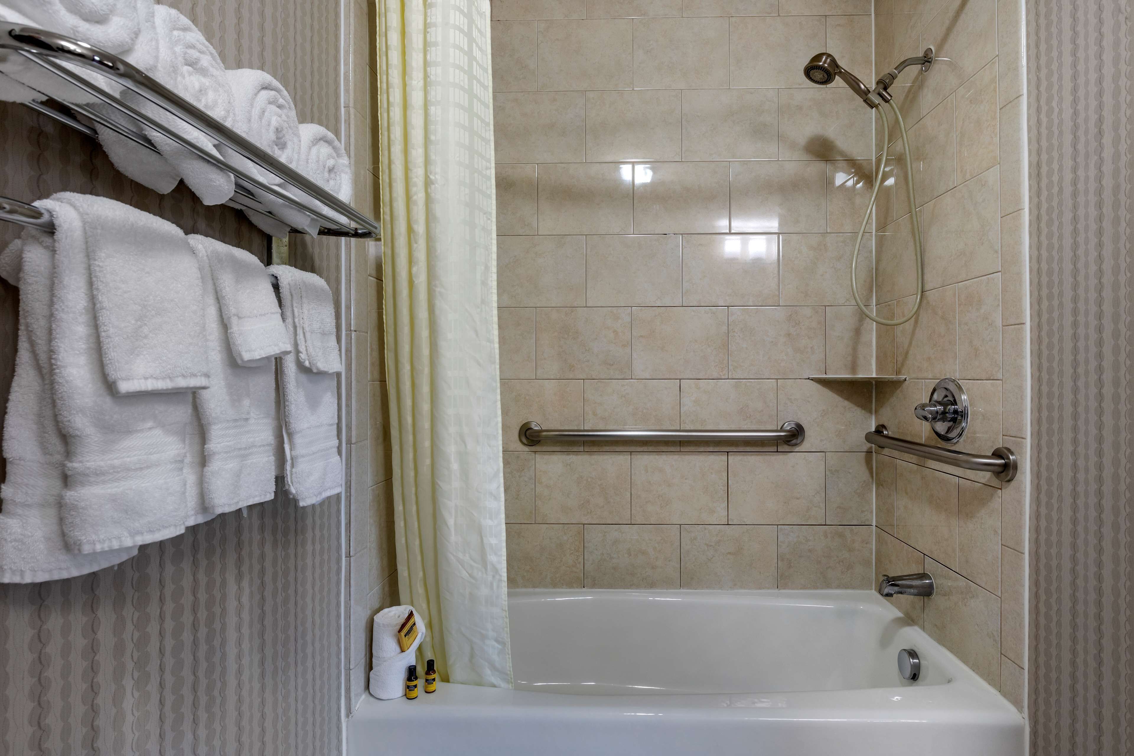 suite, 1 king bed, accessible, bathtub (with sofabed) | bathroom | combined shower/bathtub, free toiletries, hair dryer, towels