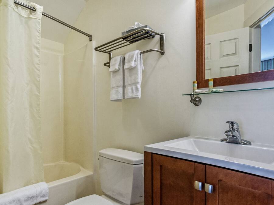 Un baño con ducha, inodoro, lavabo y espejo.