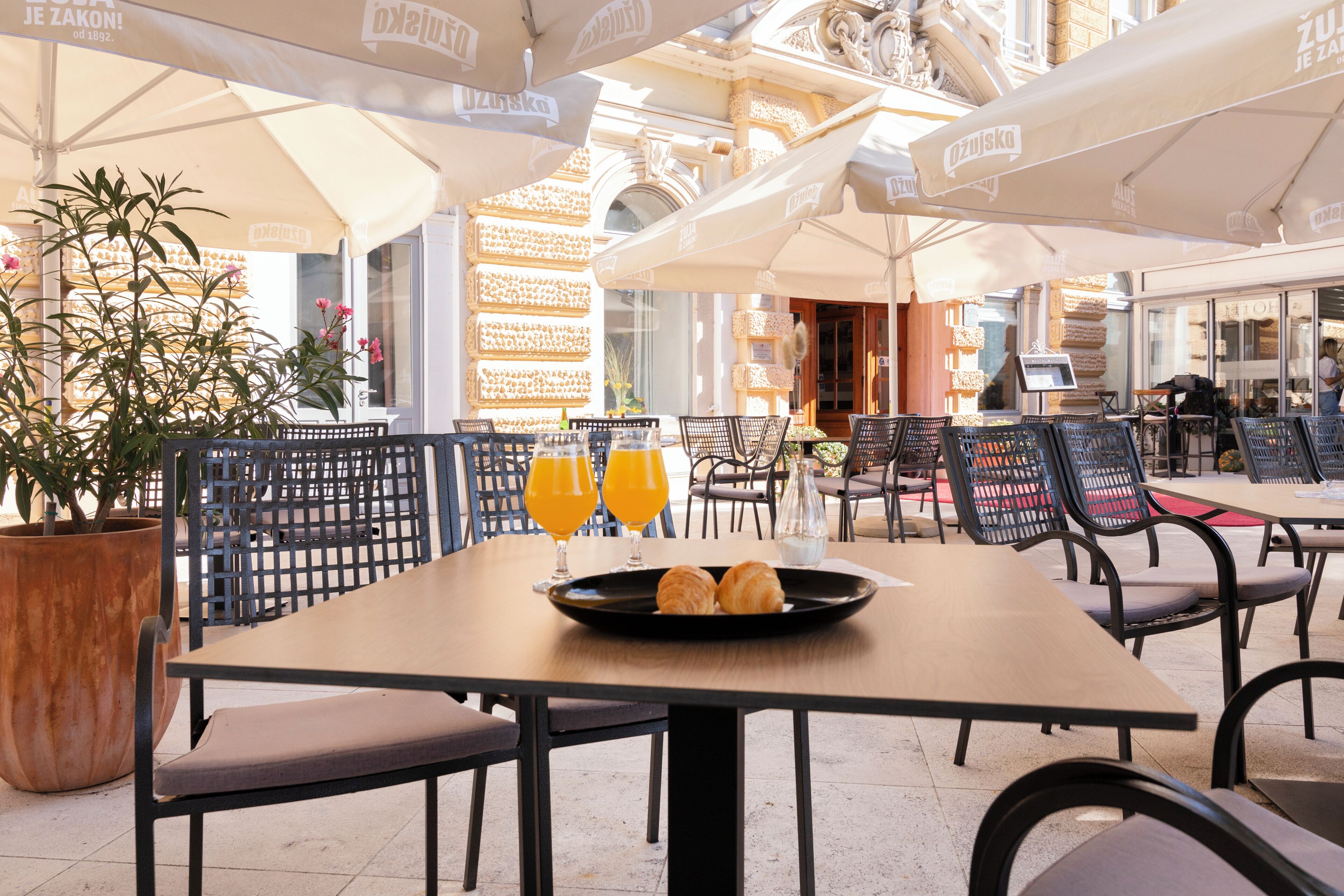 Bar (in der Unterkunft)