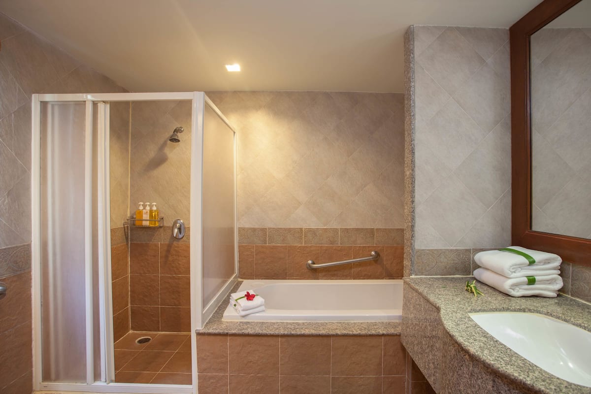 combined shower/bathtub, free toiletries, hair dryer, bathrobes