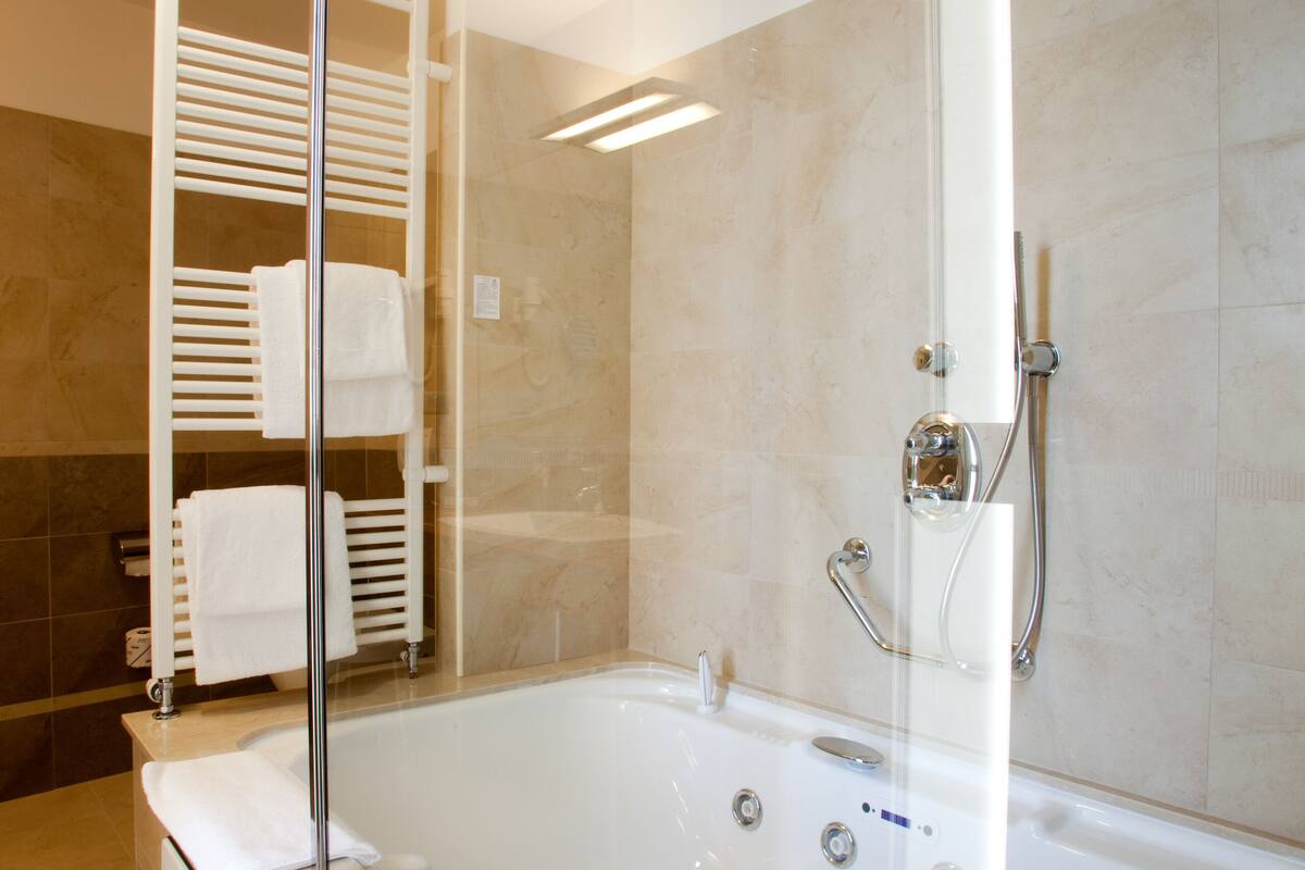 free toiletries, hair dryer, bidet, towels