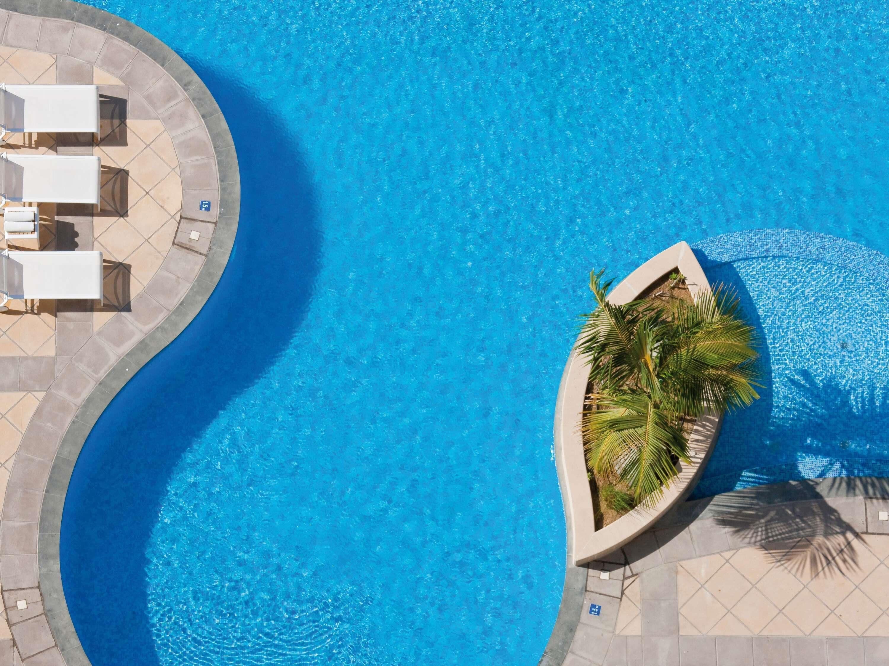 Une piscine à bord incurvé, entourée d’une terrasse carrelée avec des chaises longues et un grand pot contenant un palmier.