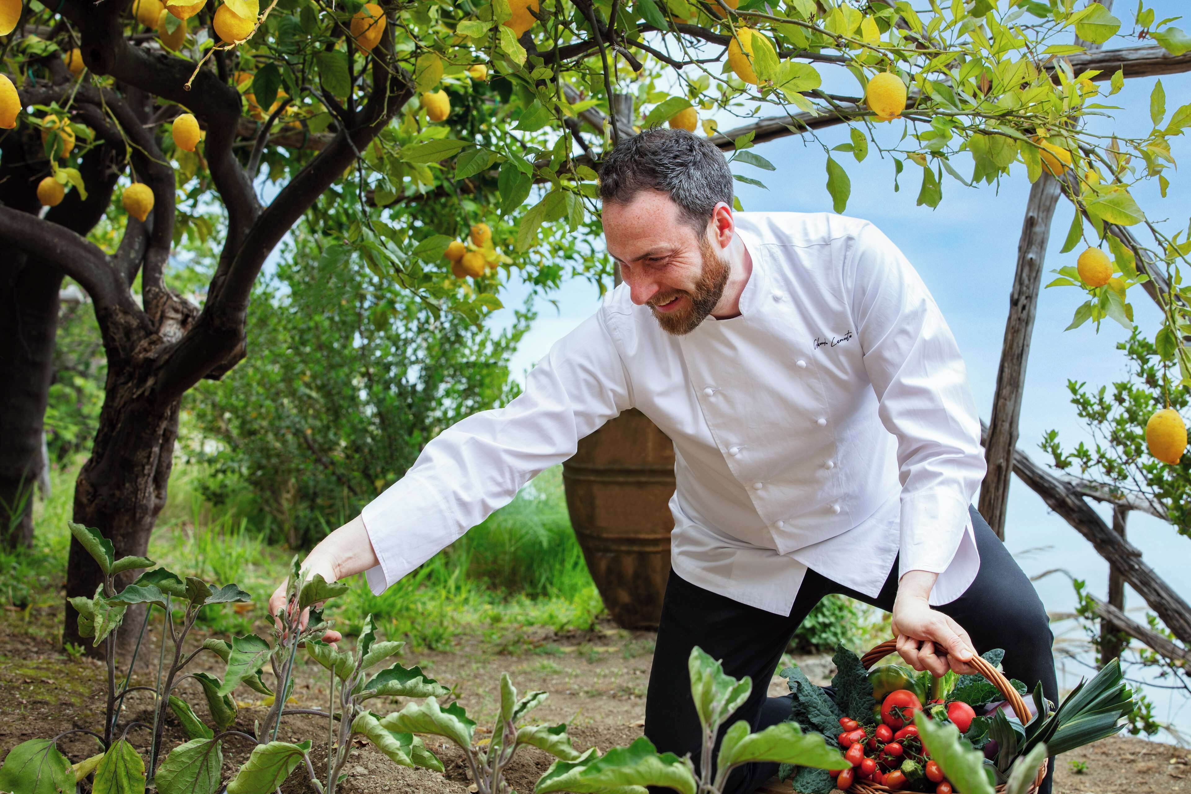 A person in a white chef's coat tending to plants in a garden with a wooden structure and a barrel in the background.