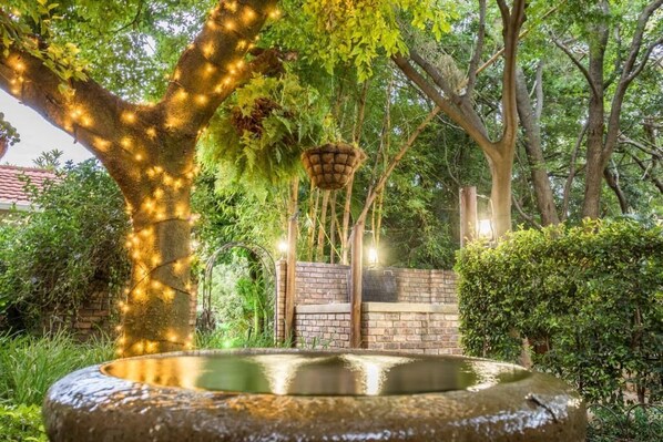 Property grounds - Murray Street 137 Guest House (Pretoria)