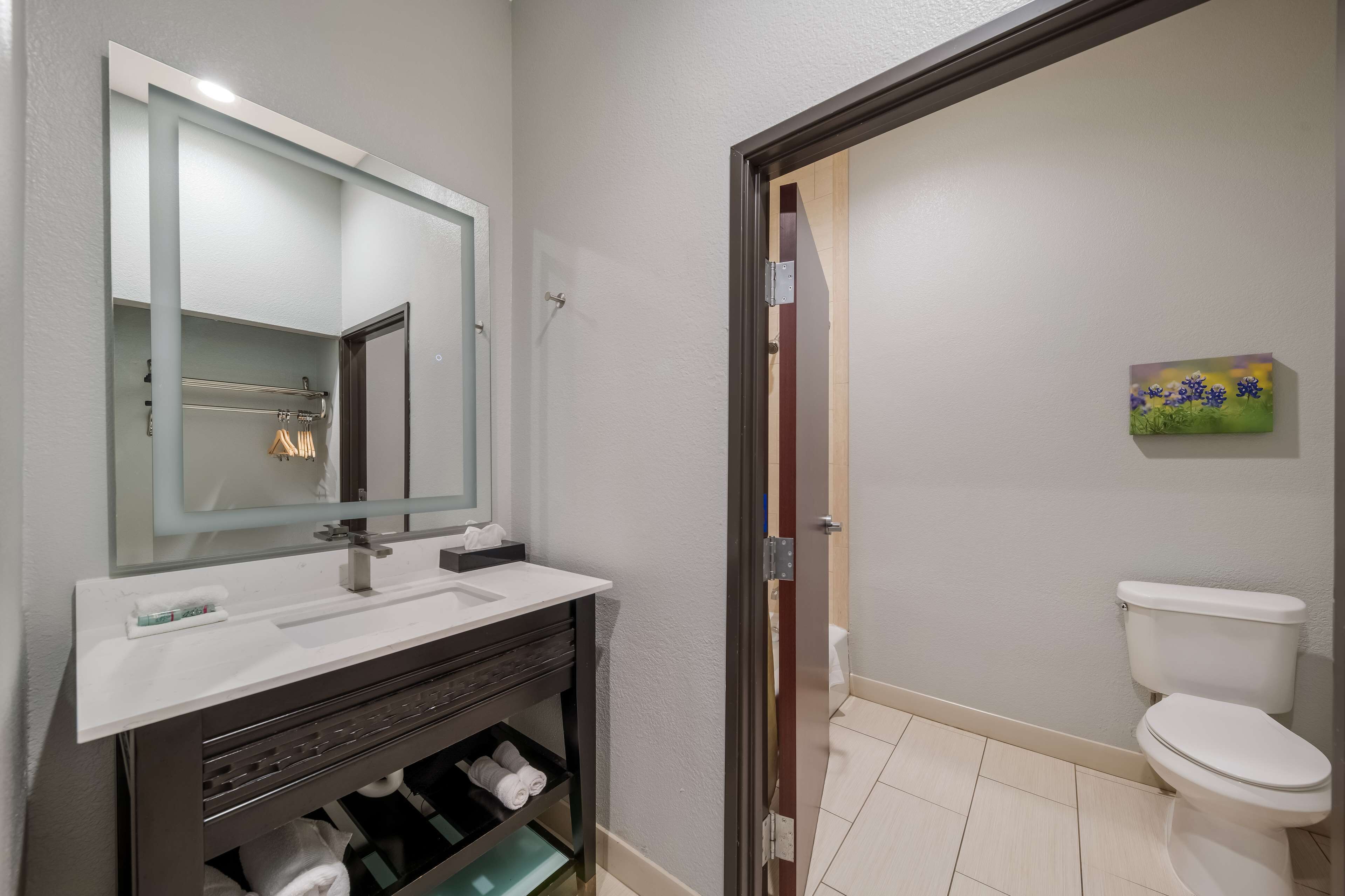 Une salle de bain avec un lavabo blanc, un meuble-lavabo foncé, un miroir et des toilettes blanches.
