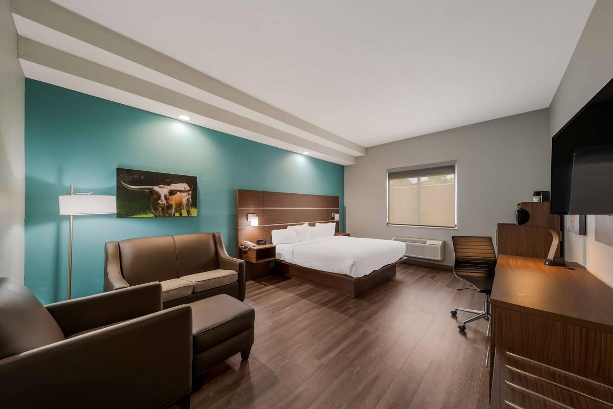 A hotel room with a bed, a desk, a chair, a sofa, a nightstand, a lamp, and a painting on the wall.