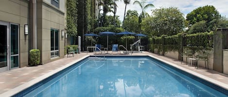 Piscina com espreguiçadeiras e guarda-sóis, cercada por palmeiras e um edifício.